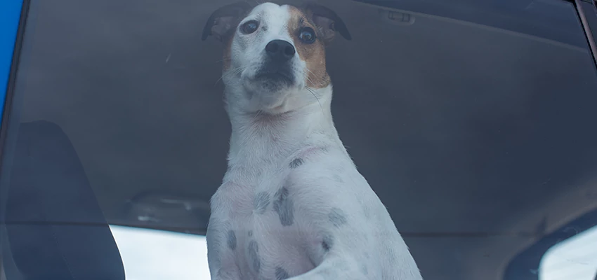 Car Lockout Solutions in San Jose, California